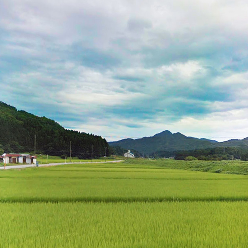 ファームの様子5