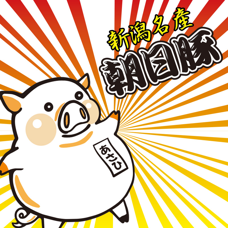 朝日豚1
