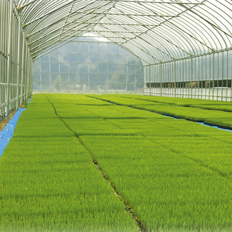 ファームの様子1