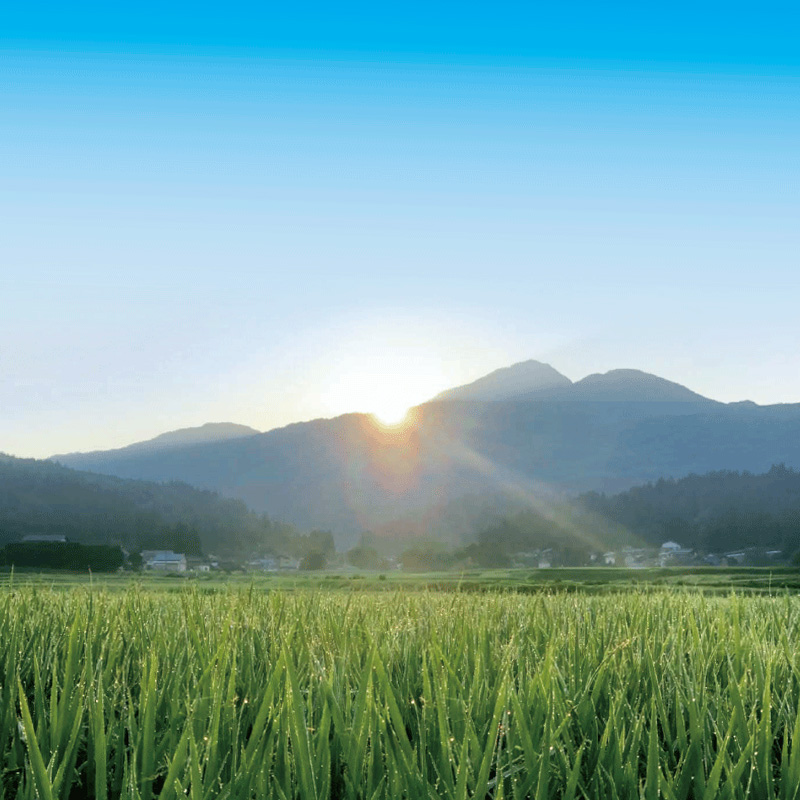 ファームの様子2