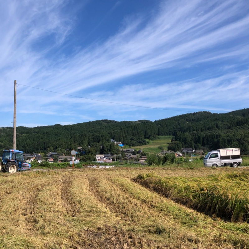 ファームの様子4