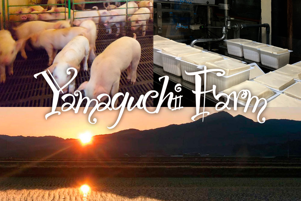 山口ファームについて