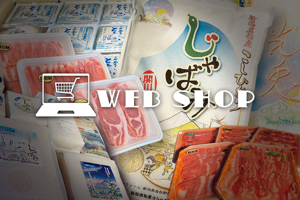 ウェブショッピング